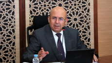 الهومي : رصد 150 مليون درهم لبرنامج الوقاية ومكافحة حرائق الغابات برسم موسم 2026