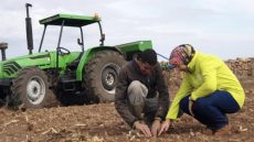 رهان المليون هكتار.. إتفاقيات جديدة بمكناس تُسرّع اعتماد الزرع المباشر في الفلاحة المغربية