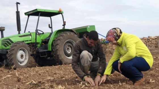 رهان المليون هكتار.. إتفاقيات جديدة بمكناس تُسرّع اعتماد الزرع المباشر في الفلاحة المغربية