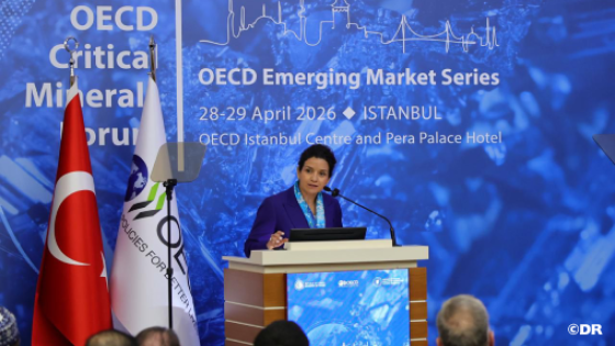 الوزيرة بنعلي تبرز بإسطنبول جهود المغرب في تثمين ثروته المعدنية