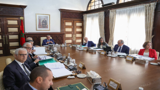 مجلس الحكومة يصادق على مشروع قانون يتعلق بالهيئة الوطنية للطبيبات والأطباء