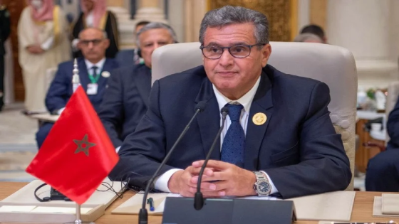 أخنوش: المغرب، تحت القيادة الرشيدة لصاحب الجلالة، جعل من السلم والأمن والاستقرار في إفريقيا خيارا استراتيجيا والتزاما ثابتا