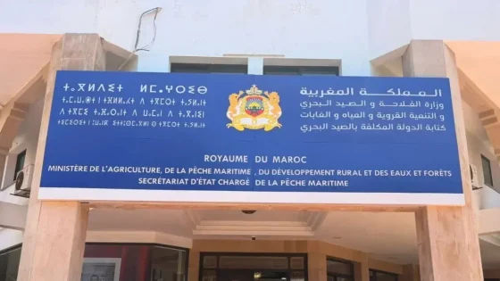 كتابة الدولة للصيد البحري تنفي توظيف تراخيص الأخطبوط انتخابيا وتكشف أسباب وقف الصيد